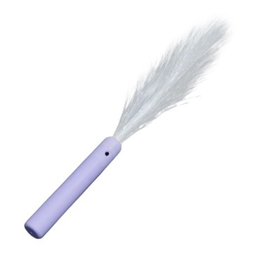 Bicze światłowodowe LED Bicze taneczne Światła do tańca