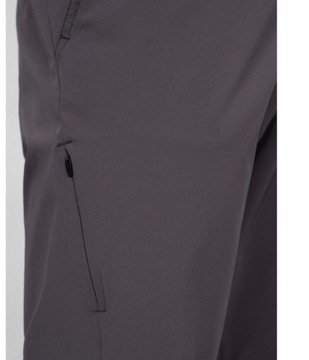 Трекинговые брюки 4F ULTRALIGHT SPMTR060 > L