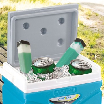 Wkłady chłodzące do lodówek Ice Sticks Pinnacle TPX 9009 2x 170 ml