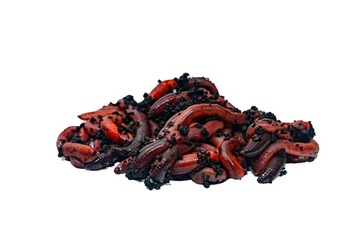 НАБОР КАНАДСКОЕ БЛЮДО 50 ШТ ДЛЯ БОЛЬШОГО СОМА