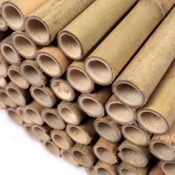 БАМБУКОВЫЕ СТОЙКИ 240 см - 24/26 мм - 25 шт. ПОДДЕРЖКИ ДЛЯ РАСТЕНИЙ / БАМБУК