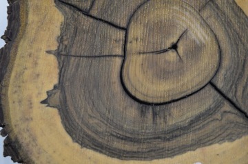 Штукатурка смоляная заливочная 40х45Гр7,5 Орех