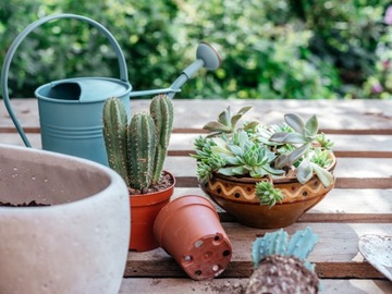 ЗЕМЛЯНОЙ ГОТОВЫЙ СУБСТРАТ ДЛЯ КАКТИРОВ И СУКУЛЕНТОВ KRONEN 5л кактус С УДОБРЕНИЯМИ