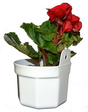 Osłonka na doniczkę wisząca 14cm przyścienna