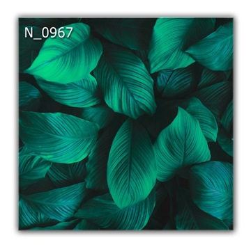 Panel szklany hartowany 60x60 LIŚCIE CIEMNE kuchnia