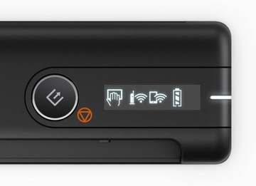 Skaner Epson B11B253401