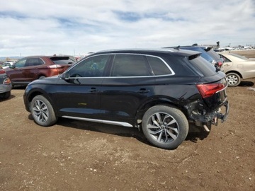Audi Q5 II 2021 Audi Q5 2021r., Premium Plus, od ubezpieczalni 2.0 Benzyna 261KM, zdjęcie 2