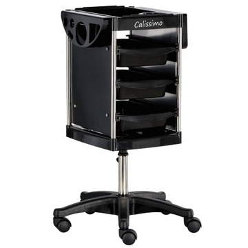 Помощник парикмахера для косметического окрашивания для мобильного спа -салона