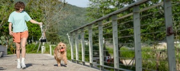 Ручной стабилизатор FeiyuTech Vimble 4 для смартфонов, белый