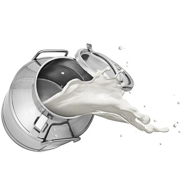 VEVOR Молочник 50л Нержавеющая сталь