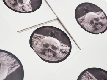 О Суханецком Пшемыславе