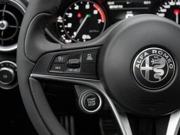 Alfa Romeo Giulia II Sedan 2.0 TBi 280KM 2019 Alfa Romeo Giulia GD389UT#2.0 Turbo Veloce Q4, zdjęcie 14