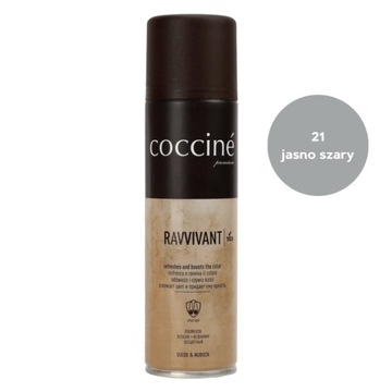 COCCINE RENOWATOR DO ZAMSZU JASNO SZARY / FARBA