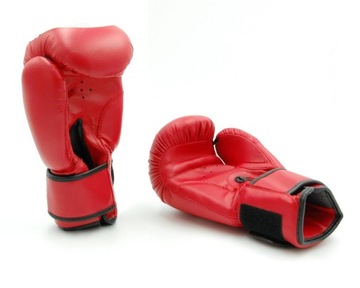 БОКСЕРСКИЕ ПЕРЧАТКИ EVOLUTION PRO, 12 УНЦИЙ