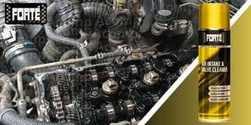 FORTE Air Intake Valve Cleaner очищает клапаны, впускные отверстия, кольца и поршни.