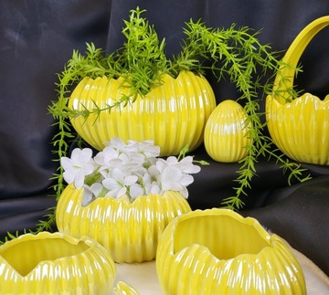 DONICZKA/OSŁONKA SKORUPKA ŻÓŁTA PERŁOWA