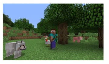 Minecraft Bedrock PS4 PL