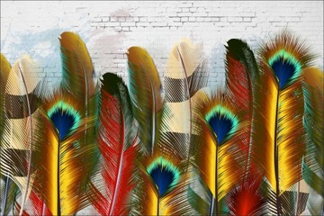 plakat 100x70 pióro, pióra, piórko, piórka,