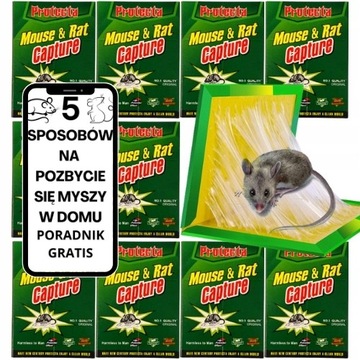 Леп для крыс, мышей, грызунов, леп-ловушка, мышеловка, 20 шт., ловушка + бесплатно