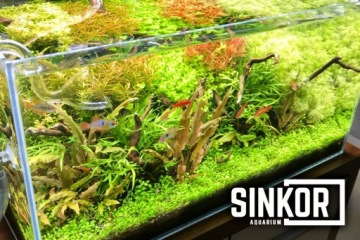 Sinkor LED II 75 см WRB 25W с Wifi LED Control