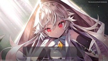 Witch Spring 3 [Re:Fine] История Эйруди SWITCH