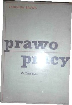 Prawo pracy w zarysie - Zbigniew Salwa