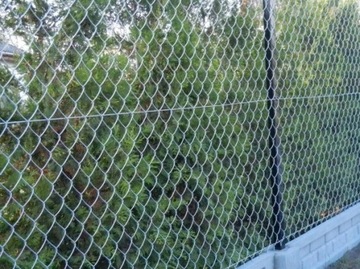 СЕТКА ОЦИНКОВАННАЯ 6х6см высота 1,50м, проволока 2,5мм -10м