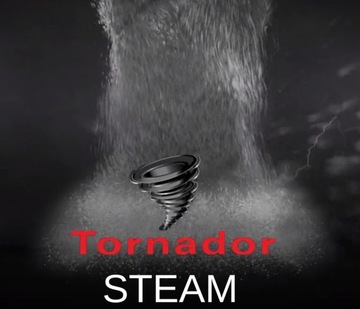 TORNADOR STEAM Профессиональный пароочиститель для дезинфекции
