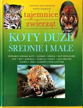 KOTY DUŻE, ŚREDNIE I MAŁE