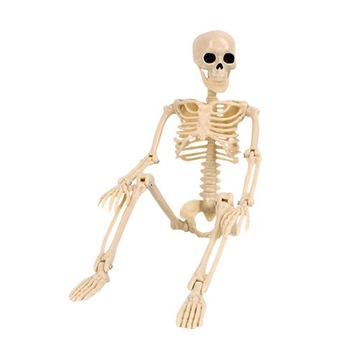 Mini szkielet Model szkieletu Dekoracja na biurko, Mini szkielet czarny