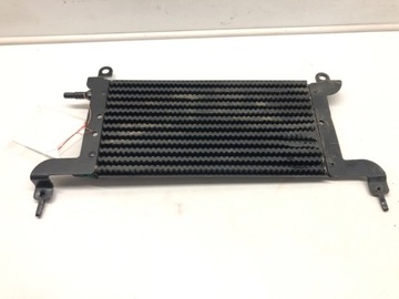 CHŁODNICZKA PALIWA BERLINGO MULTISPACE 1.6HDi