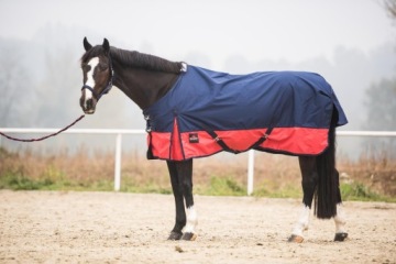 СТАРТ Ковер Paddock 2-TONE 135 темно-синий/красный