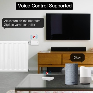 Коммутатор ZigBee BLUETOOTH-шлюз TUYA Smart Life
