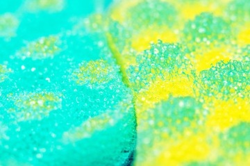 SANTORINI PACLAN BEAUTY Губка для купания