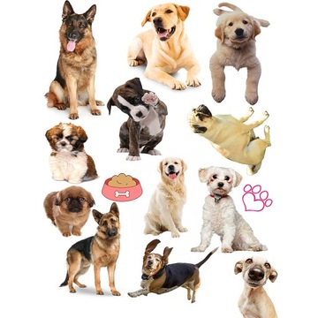 TATUAŻE ZMYWALNE DLA DZIECI DZIECIĘCE PSY DOGS WZORY JAKOŚĆ