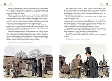 КУКЛА БОЛЕСЛАВ ПРУС, ЖЕСТКОЕ С ИЛЛЮСТРАЦИЯМИ, БОЛЬШОЙ ФОРМАТ