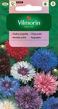 Chaber pospolity Mix kolorów VILMORIN