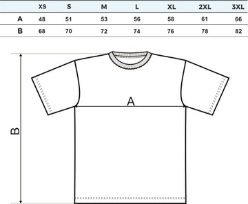 Koszulka T-shirt męska D277 SCANIA CIĘŻARÓWKI TIR khaki rozm XXL