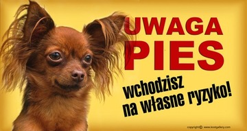 ROSYJSKI TOY tabliczka