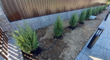 Комплект Некомпенсированная капельная линия 50 м + 50 штифтов / 87 аксессуаров