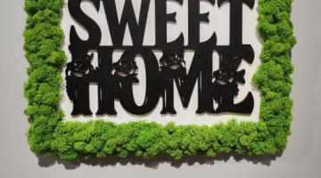 Картина с мхом в рамке Home Sweet Home черная подвесная стоячая 30х30