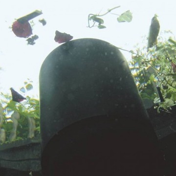 Oase AquaSkim 20 skimmer do oczka - zbiera liście