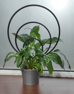 ПОДДЕРЖКА ДЛЯ РАСТЕНИЙ ЦВЕТОВ ПЕРГОЛА НА КОЛЕСАХ ОБОД 36см