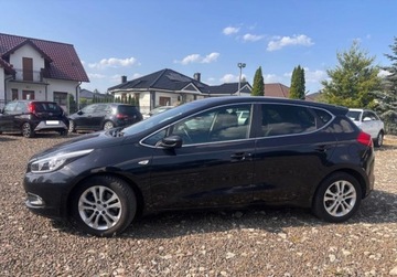 Kia Ceed II pro_cee´d 1.6 GDI 135KM 2014 Kia Ceed 1.6B 135KM klimatronik stan bdb LEDY 1.6 Benzyna 135KM, zdjęcie 2