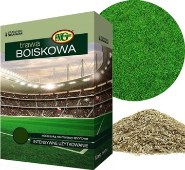 TRAWA BOISKOWA 0,5kg WYSOKA ODPORNOŚĆ NA DEPTANIE