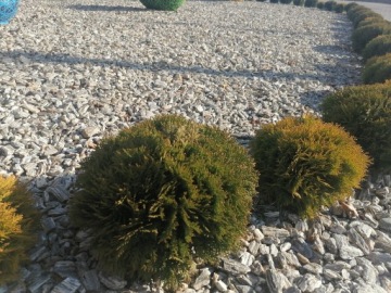 Каменная кора 11-32 мм гнейс натуральный садовый камень 1000 кг бесплатный валун