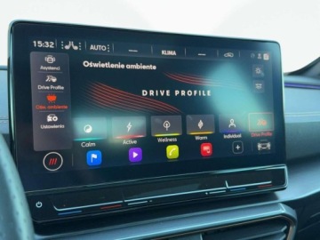 Cupra Formentor Crossover 2.0 TSI 310KM 2023 Cupra Formentor Tribe Edition, Matrix, Hak, Beats, Panorama, Kamera 360 2.0, zdjęcie 37