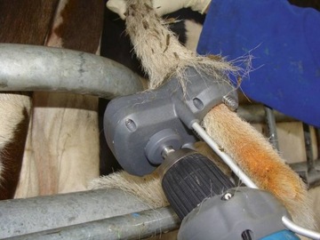 Триммер для хвоста TAILWELL MK 2 для крупного рогатого скота коров