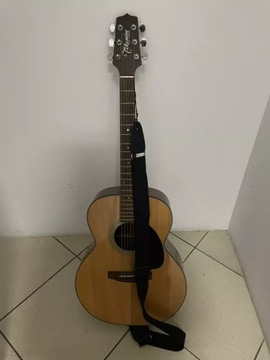 TAKAMINE G220 АКУСТИЧЕСКАЯ КЛАССИЧЕСКАЯ ГИТАРА