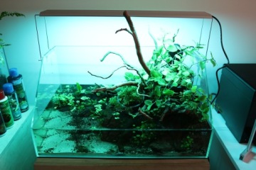 CHIHIROS RGB LED LIGHTING A1201 PLUS Светодиодный луч